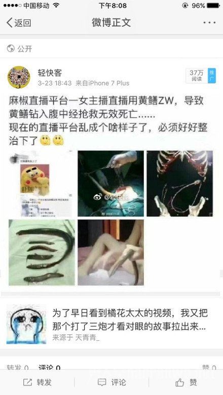 黄鳝女主播琪琪个人资料揭秘 琪琪复出欲挑战更大黄鳝