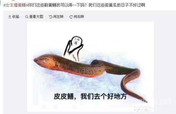 黄鳝女主播琪琪个人资料揭秘 琪琪复出欲挑战更大黄鳝
