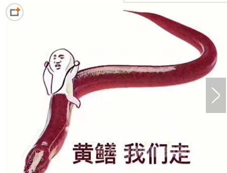 黄鳝女主播琪琪个人资料揭秘 琪琪复出欲挑战更大黄鳝