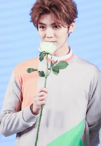 男星鹿晗解约EXO原因大盘点