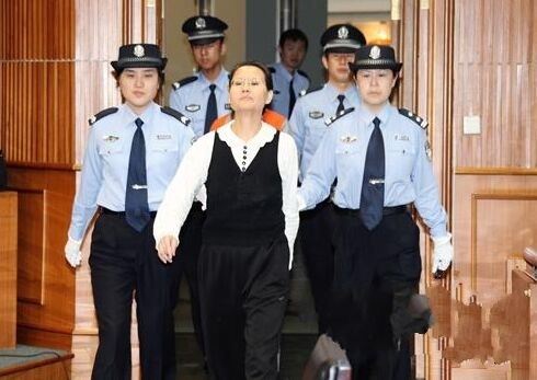 西安女子王如盗窃季羡林文物 受审时亮了表情包与图片走红