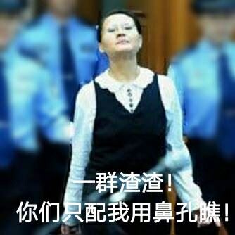 西安女子王如盗窃季羡林文物 受审时亮了表情包与图片走红