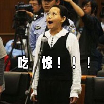 西安女子王如盗窃季羡林文物 受审时亮了表情包与图片走红