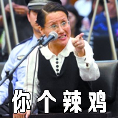 西安女子王如盗窃季羡林文物 受审时亮了表情包与图片走红