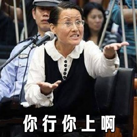 西安女子王如盗窃季羡林文物 受审时亮了表情包与图片走红