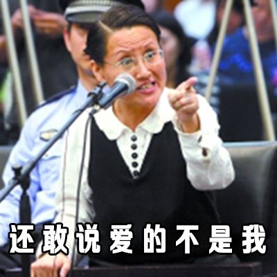 西安女子王如盗窃季羡林文物 受审时亮了表情包与图片走红