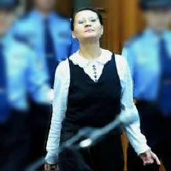 西安女子王如盗窃季羡林文物 受审时亮了表情包与图片走红