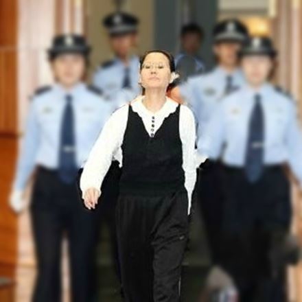 西安女子王如盗窃季羡林文物 受审时亮了表情包与图片走红
