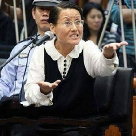 西安女子王如盗窃季羡林文物 受审时亮了表情包与图片走红