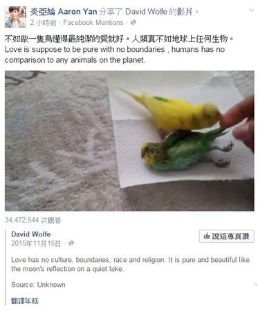 炎亚纶为好友加油被疑是台独 炎亚纶个人资料及照片