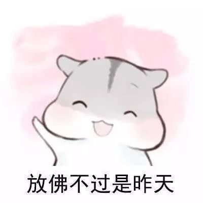 华北科技学院教务管理系统！今天下午其实我是