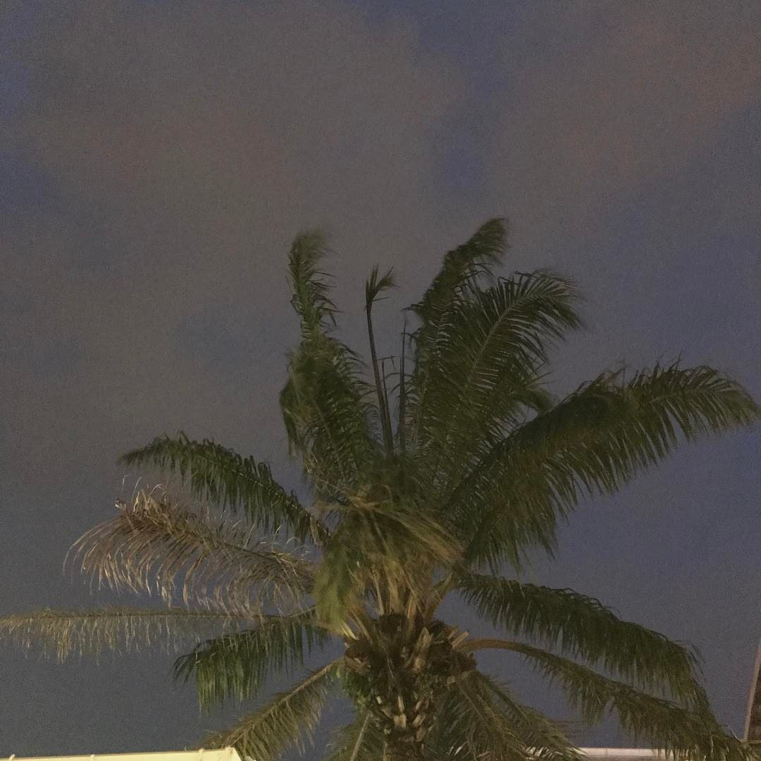 十六届中央委员名单这里的机关都是用