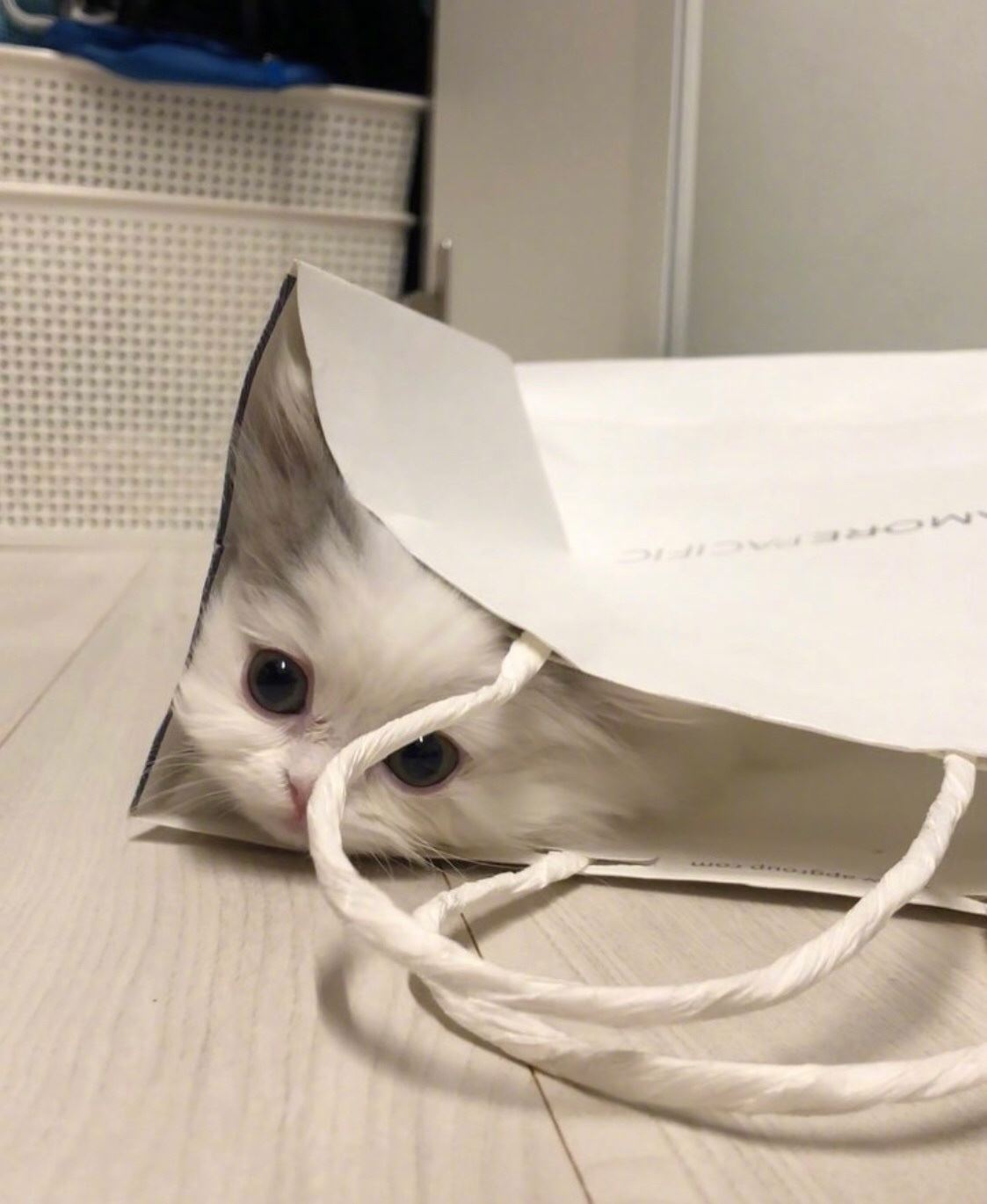 qq小说网：在刚才听到两人喊