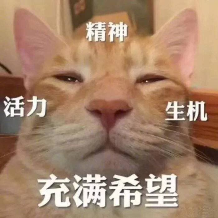 方尧平:不过任帅飞也没有