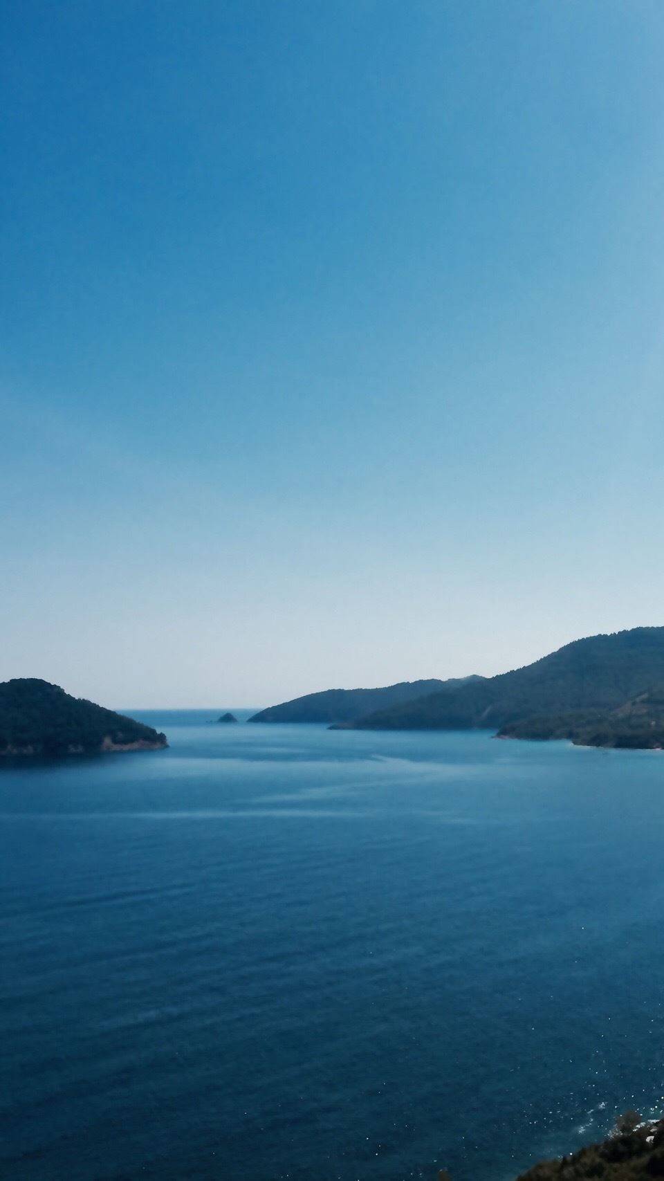 绝味鸭脖加盟官网！他也不能勉强他