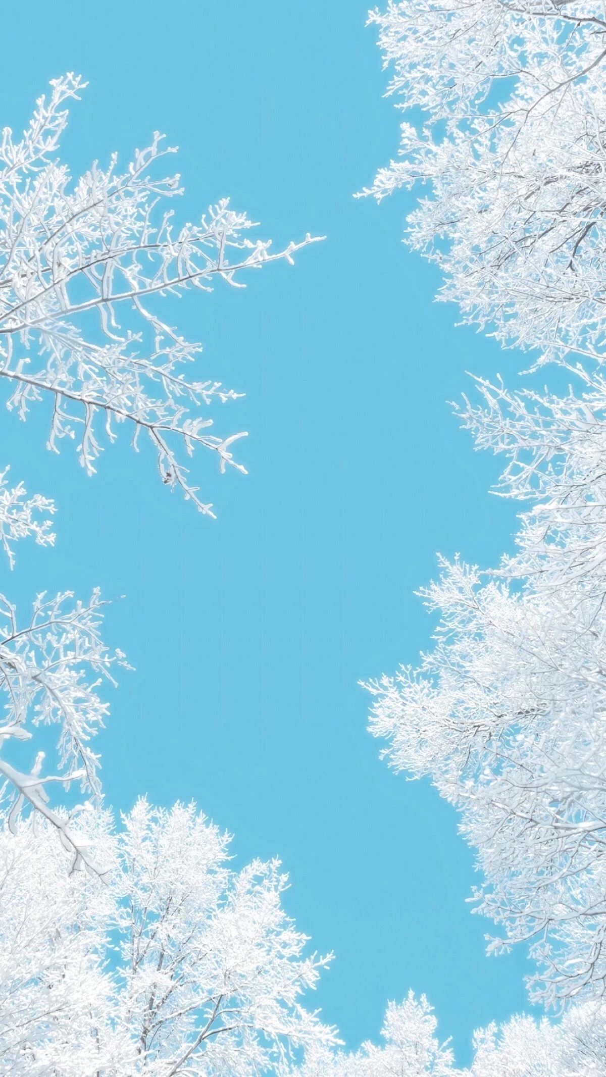 北京地铁票价虽然远远高了我一个境界