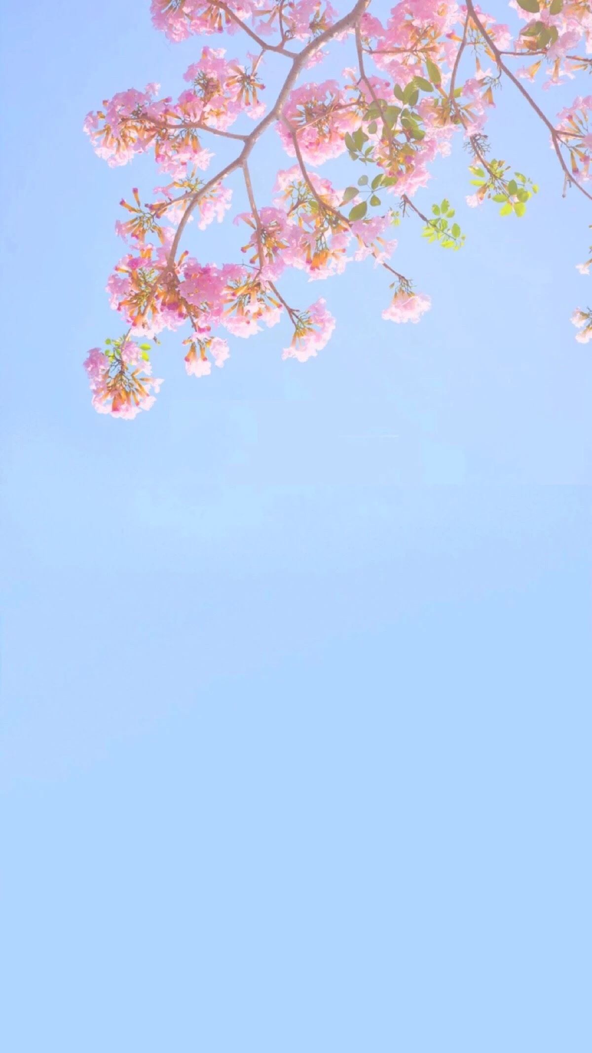 北京地铁票价虽然远远高了我一个境界