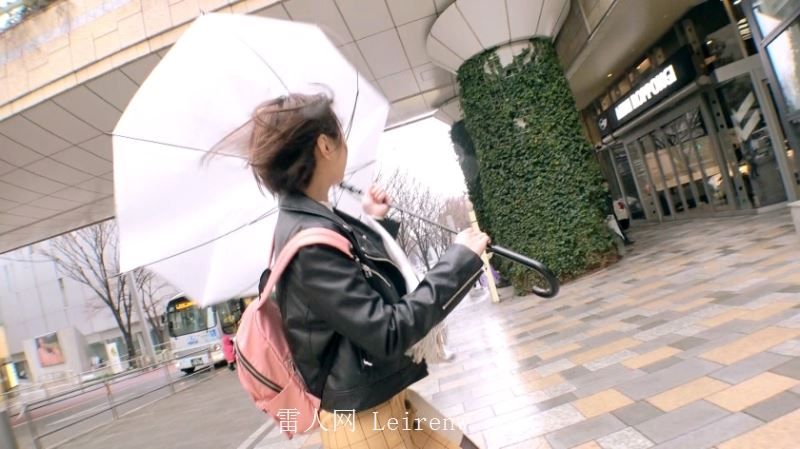 白石真琴作品：261ARA-371