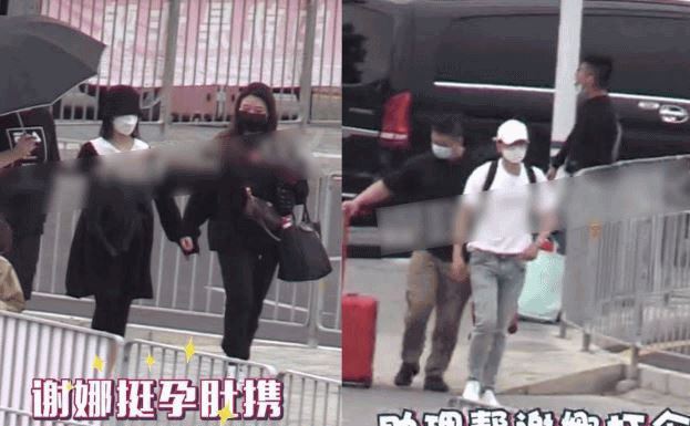 谢娜二胎生的男孩女孩 谢娜二胎生了吗