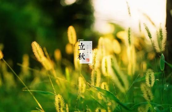 2022年立秋时间几点几分几秒