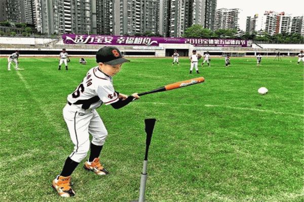 世界十大棒球运动员：王贞治上榜，他是第一棒球运动员：王贞治上榜