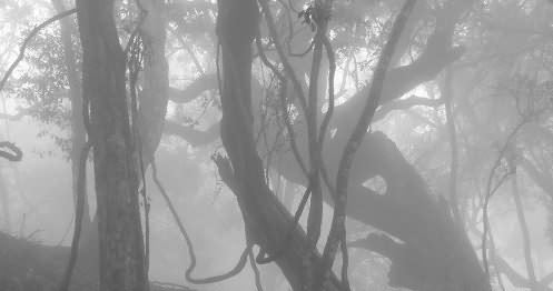 世界十大暗黑系恐怖网站，每个都让人毛骨悚然