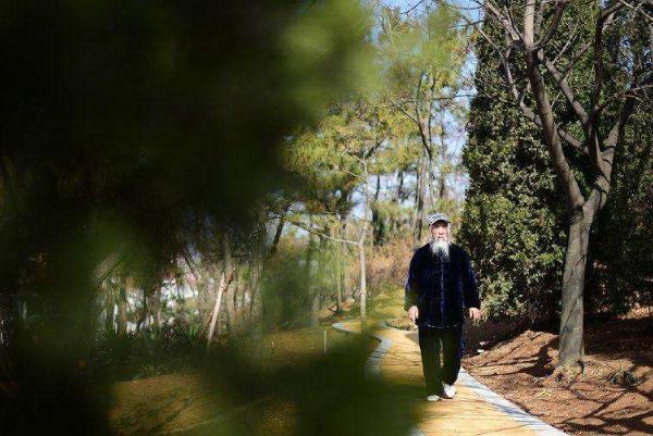 中国十大武术宗师：叶问上榜，他是功夫之王