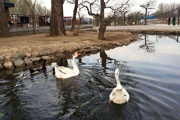 北京周边最值得一去十大庄园：唐韵山庄、九华山庄上榜