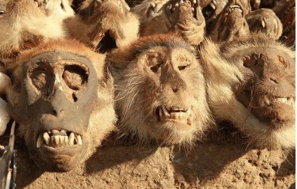 世界十大最恐怖的地方，太可怕了让人毛骨悚然