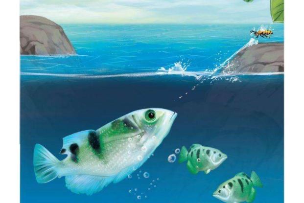 世界十大不可思议的生物 第三名可以永生不死，第二外形怪异