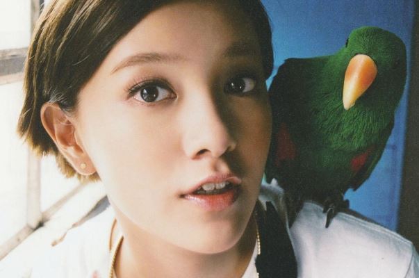 郭采洁最火的歌曲top10：《喜宝》上榜，第二充满青春活力