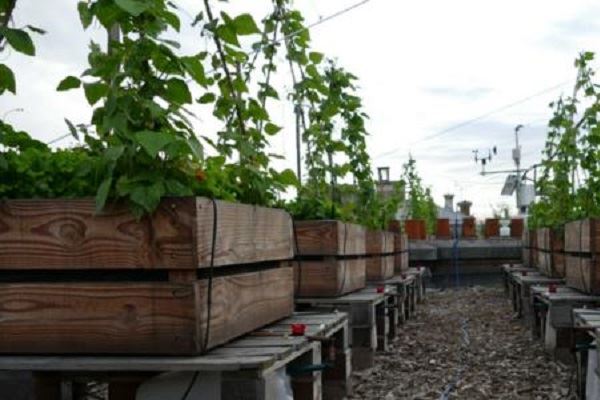 世界农学排名前十的大学:中国农大上榜，第5欧陆第一名校