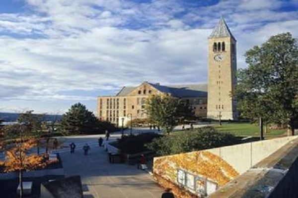 世界农学排名前十的大学:中国农大上榜，第5欧陆第一名校