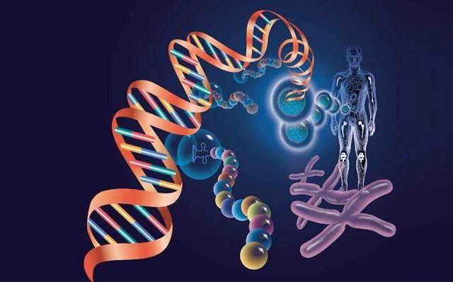 世界上最厉害的4种武器,原子弹都只能垫底