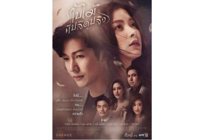 2019最好看的泰国电视剧排行榜 铁石心肠位列第一，你喜欢哪一部