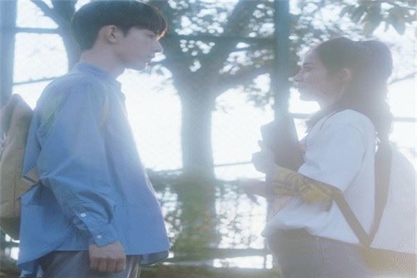 2020年超甜校园剧排行榜：我的刺猬女孩上榜，第7未播先火