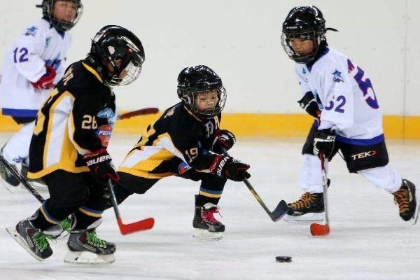 美国十大体育运动排名 橄榄球棒球上榜第三相当常见