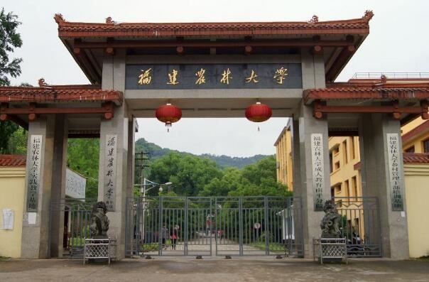 福建十大最差的民办二本:仰恩大学上榜,第一风景优美