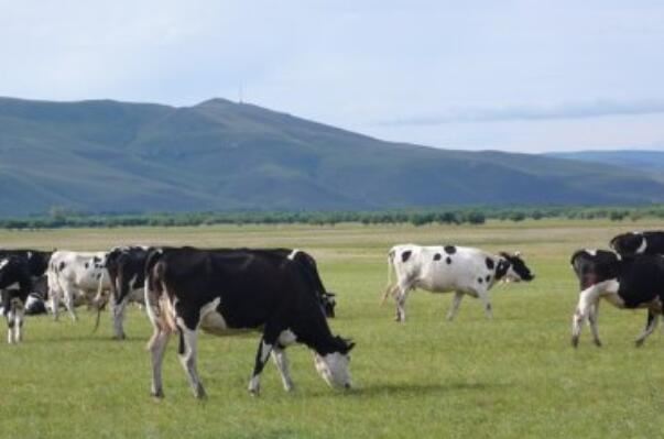 中国十大最美牧场，天山牧场上榜，第一是南方仅有的高山牧场