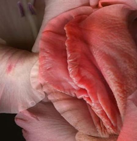 女人十大名器图解，不同的外阴形状让你欲罢不能