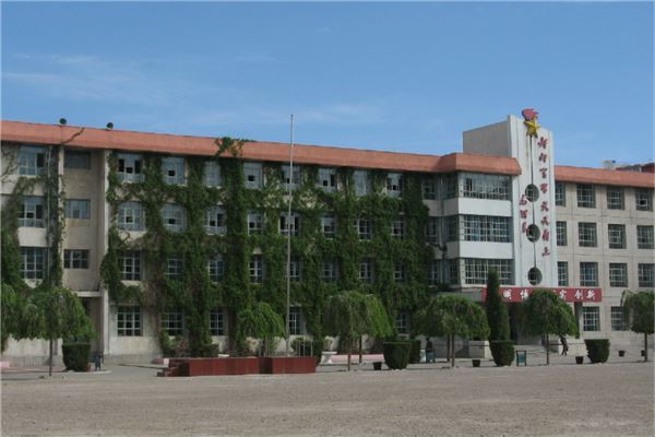 南阳市公立小学排名榜 南阳市中心小学上榜十五小学活动丰富
