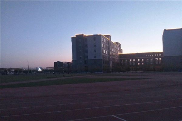 南阳市公立小学排名榜 南阳市中心小学上榜十五小学活动丰富