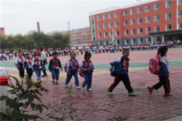 南阳市公立小学排名榜 南阳市中心小学上榜十五小学活动丰富