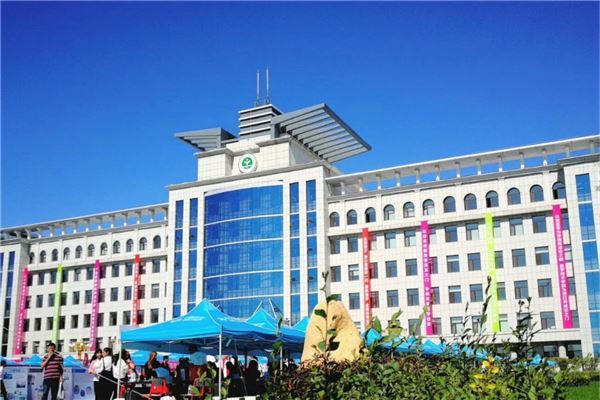 南阳市公立小学排名榜 南阳市中心小学上榜十五小学活动丰富