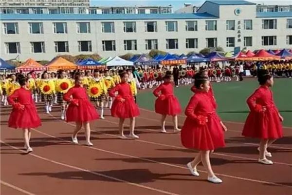 南阳市公立小学排名榜 南阳市中心小学上榜十五小学活动丰富