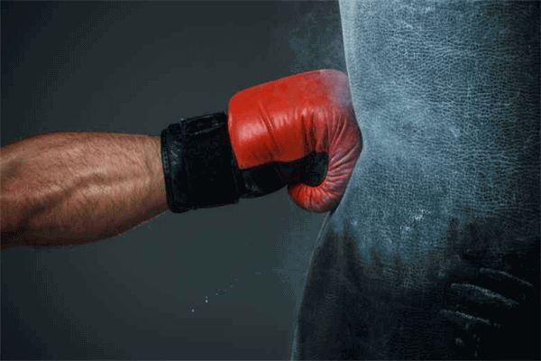 世界十大著名拳击手:维利·派普上榜,他是泰森、阿里的偶像