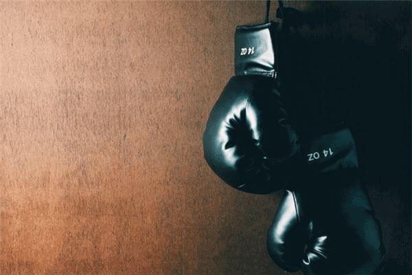 世界十大著名拳击手：维利·派普上榜，他是泰森、阿里的偶像