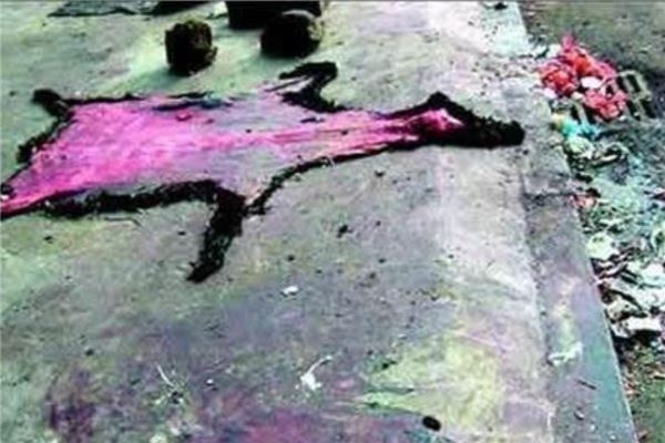 世上10道最残忍恶心的名菜 活吃章鱼和三吱儿上榜让人恶心