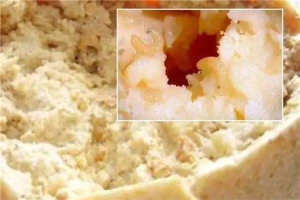 世上10道最残忍恶心的名菜 活吃章鱼和三吱儿上榜让人恶心