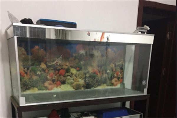 鱼缸品牌十大排名：博宇上榜，闽江水族第二